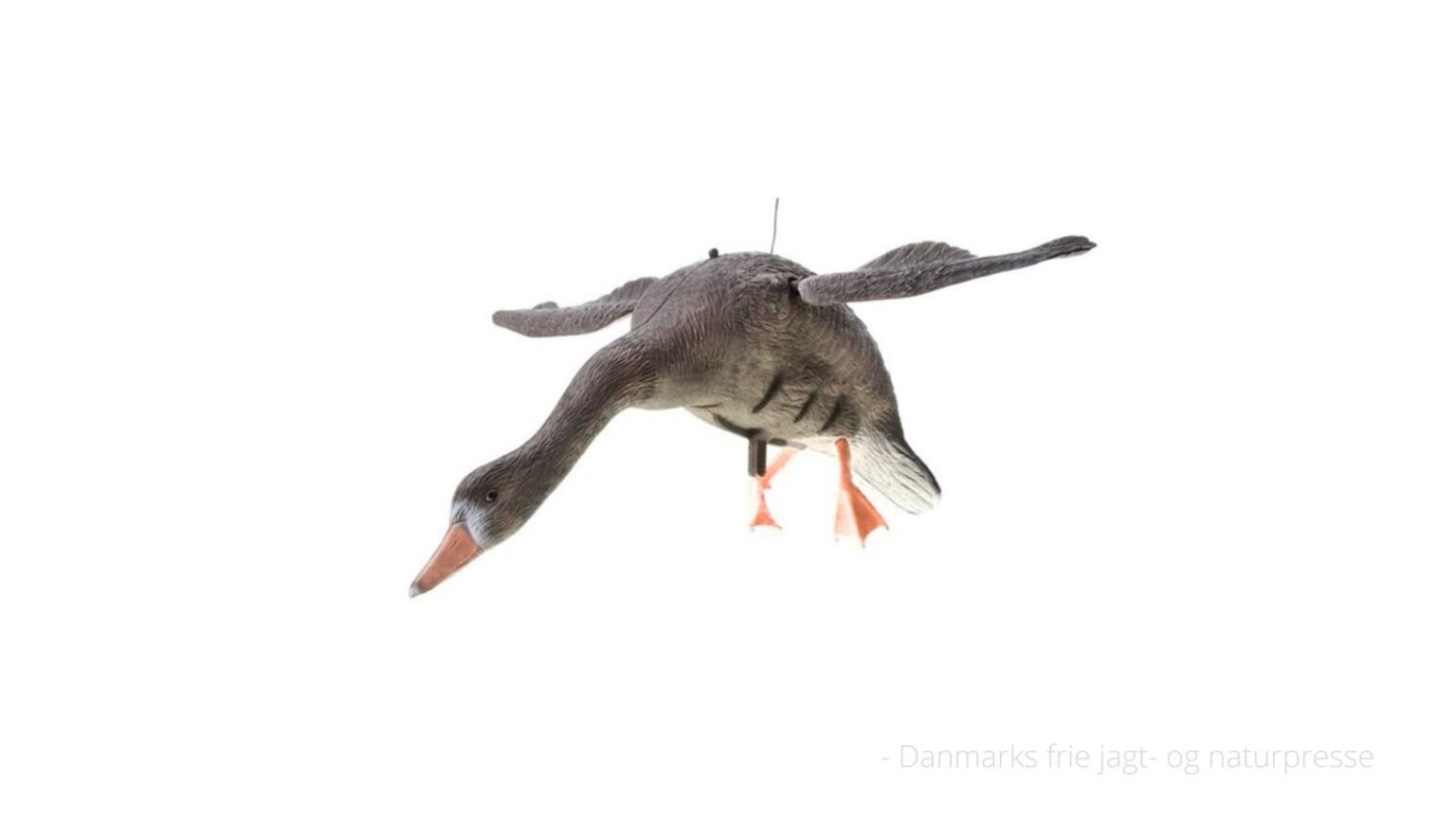Netnatur2-1