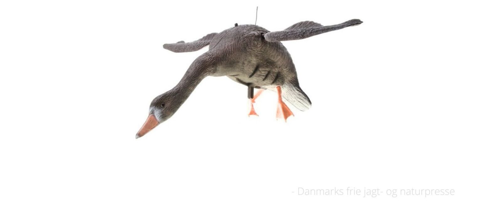 Netnatur2-1