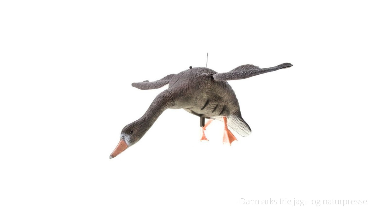 Netnatur2-1