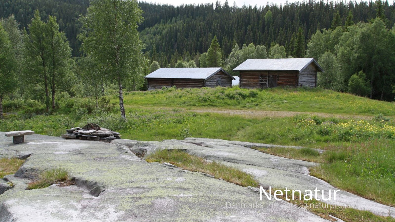 Netnatur31