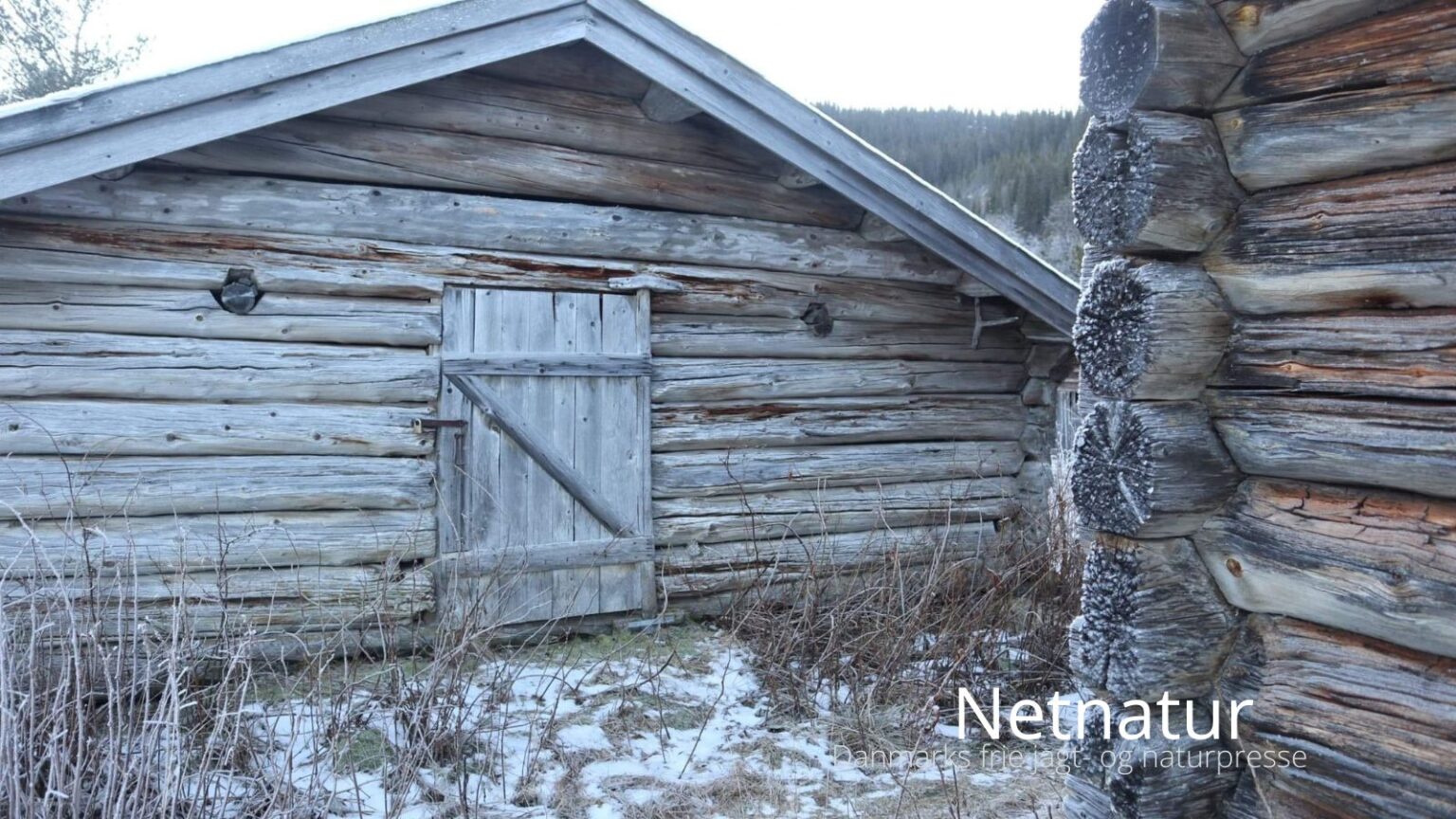 Netnatur32