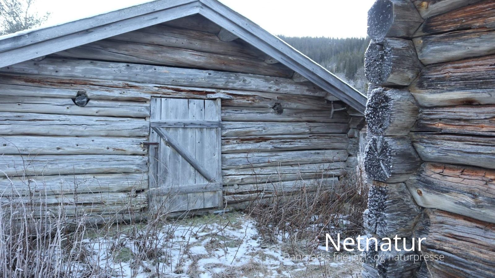 Netnatur32