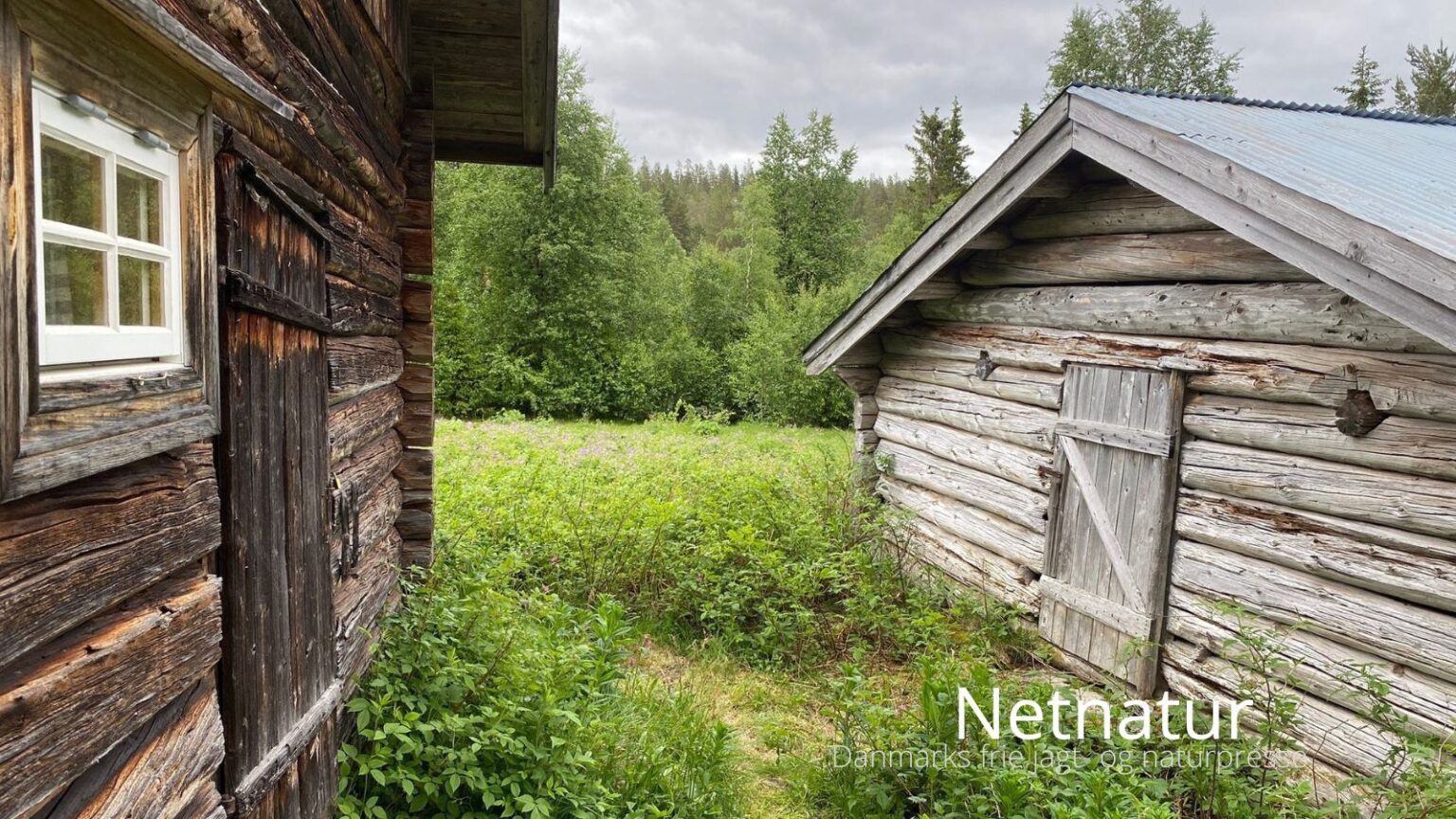 Netnatur33