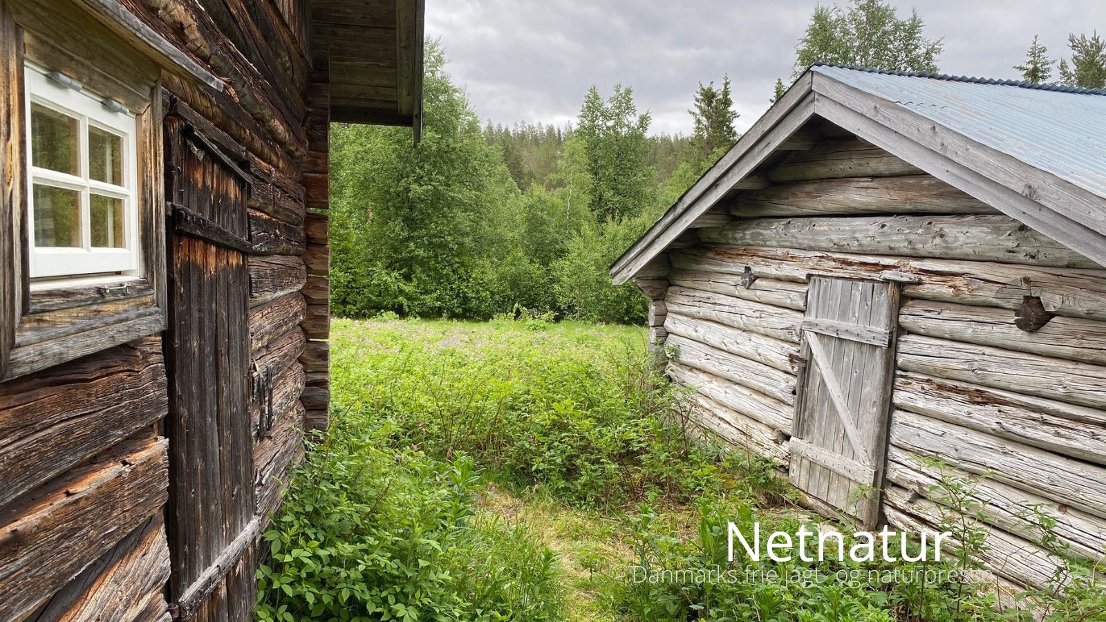 Netnatur33