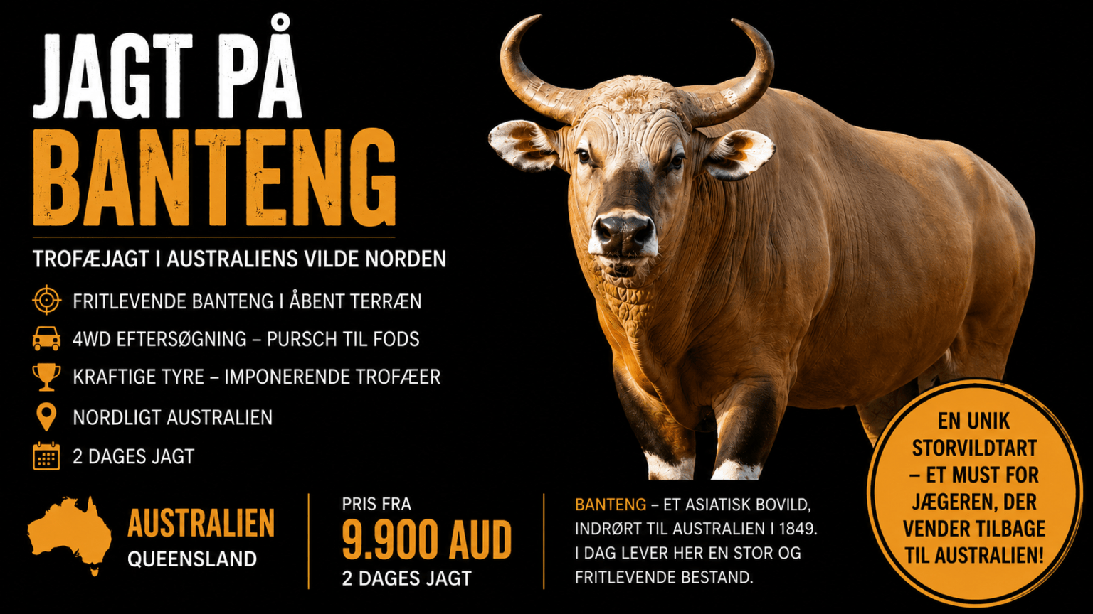 Banteng-ads