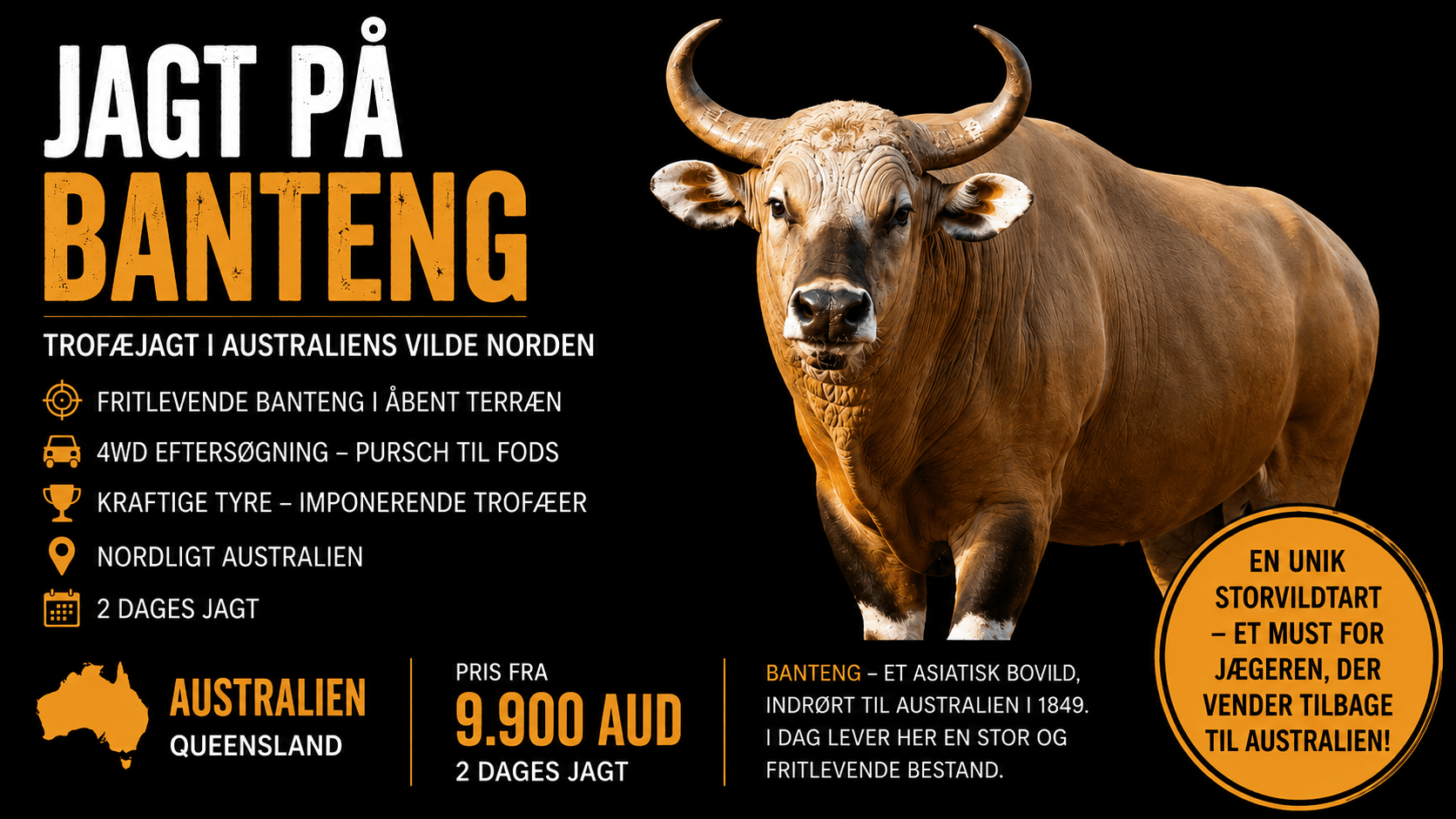 Banteng-ads