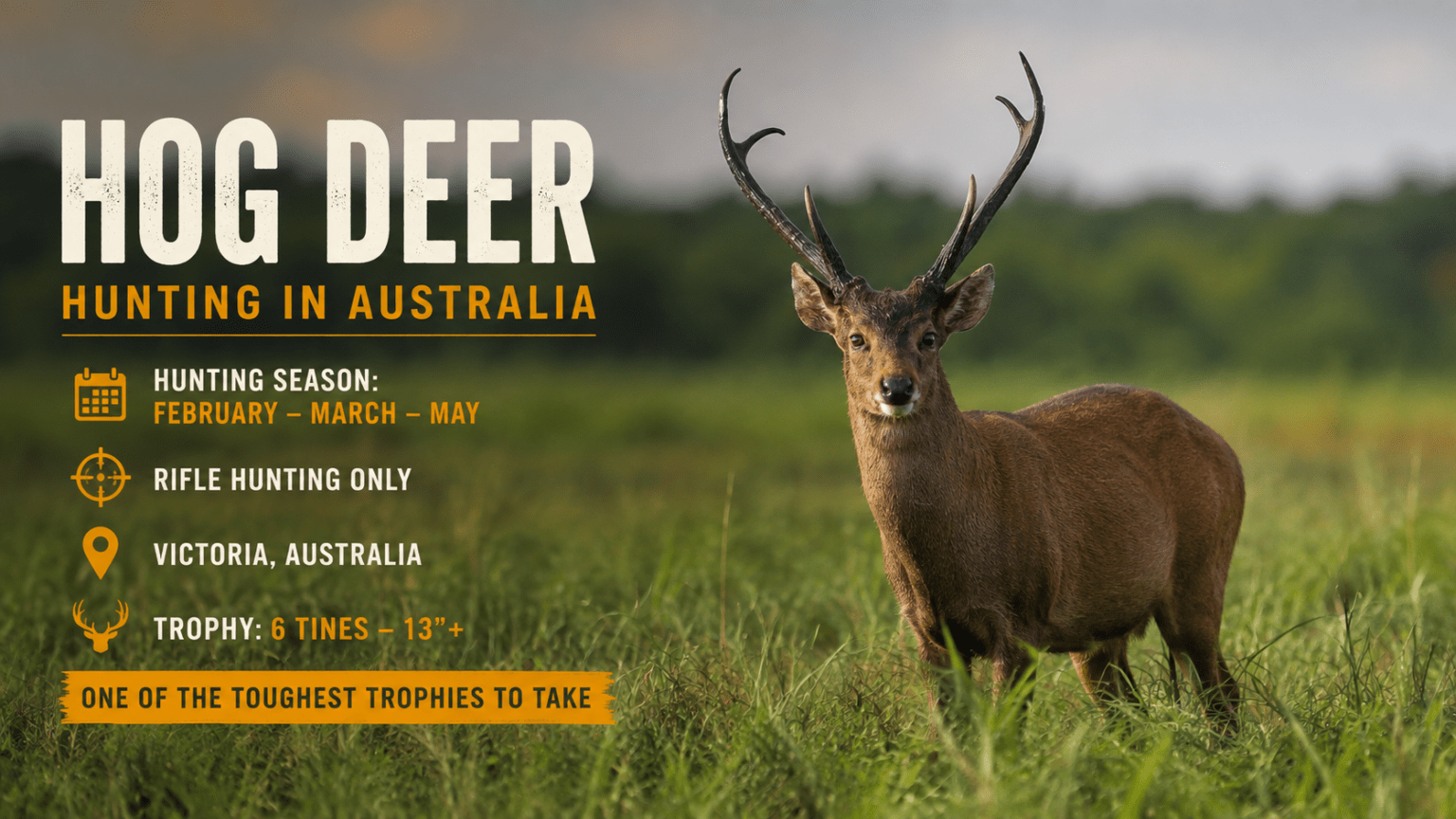 Hog-Deer-Ads